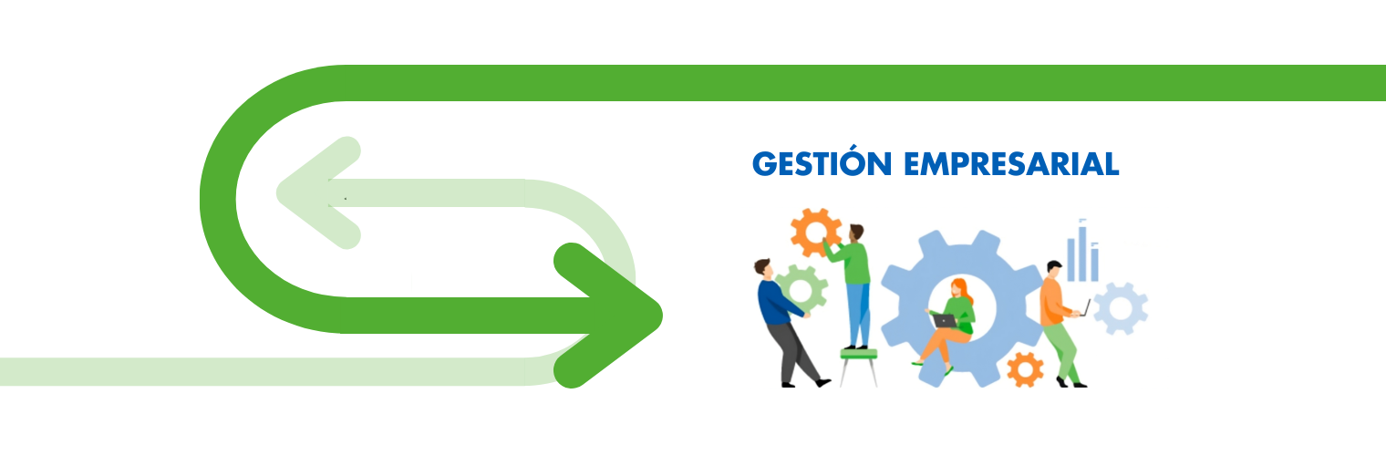 Aula Virtual-Materiales Emprendimiento - ASE - Recursos para Emprender-Accion Social España-Gestion Empresarial